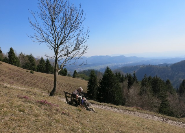 Kamniški vrhu- mal okrog   20.03.2020 - foto