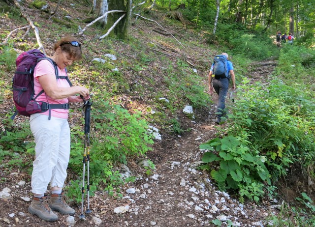 Orožnova koča in Lisec  28.06.2020 - foto