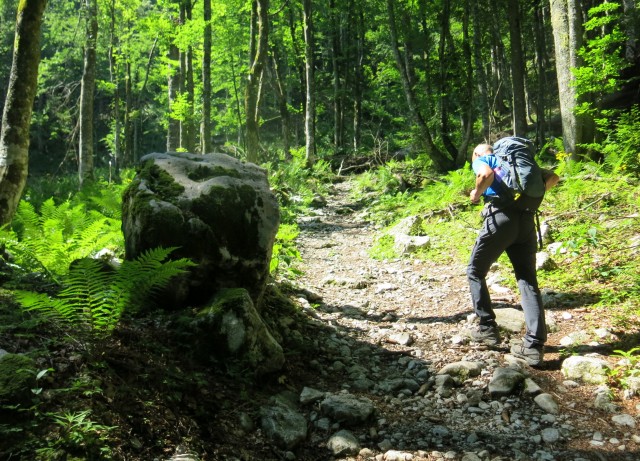 Orožnova koča in Lisec  28.06.2020 - foto