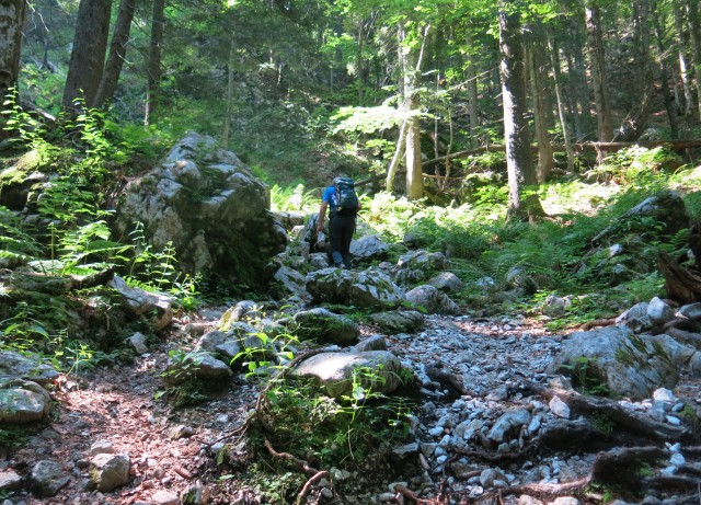 Orožnova koča in Lisec  28.06.2020 - foto