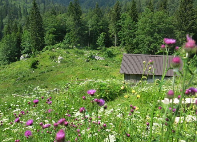 Orožnova koča in Lisec  28.06.2020 - foto