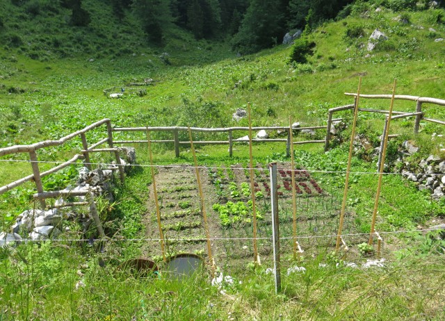 Orožnova koča in Lisec  28.06.2020 - foto