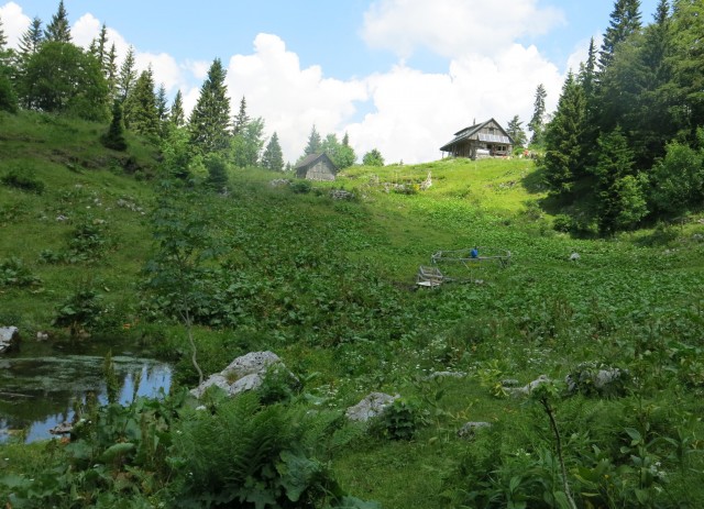 Orožnova koča in Lisec  28.06.2020 - foto