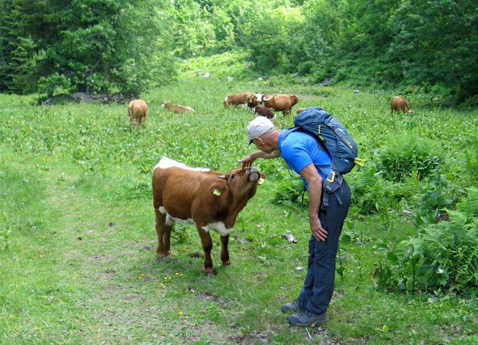 Orožnova koča in Lisec  28.06.2020 - foto povečava