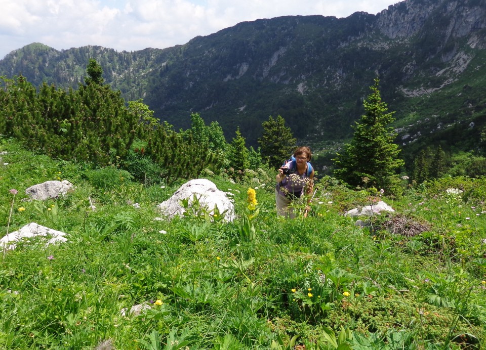 Orožnova koča in Lisec  28.06.2020 - foto povečava