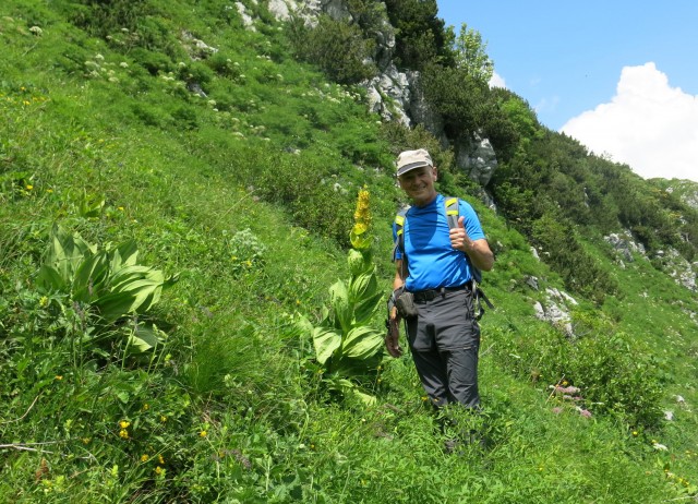 Orožnova koča in Lisec  28.06.2020 - foto