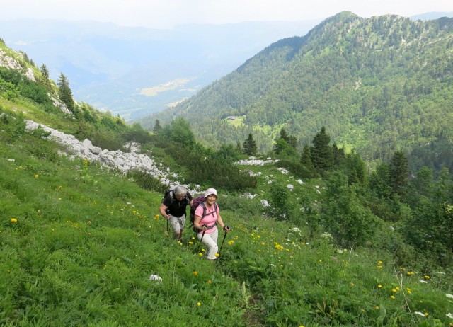 Orožnova koča in Lisec  28.06.2020 - foto