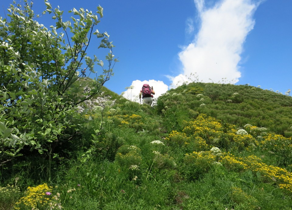 Orožnova koča in Lisec  28.06.2020 - foto povečava