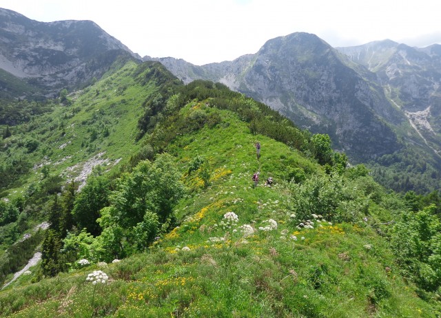 Orožnova koča in Lisec  28.06.2020 - foto