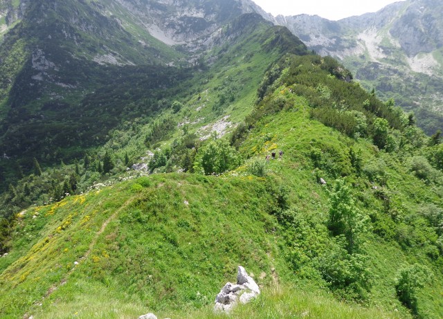 Orožnova koča in Lisec  28.06.2020 - foto