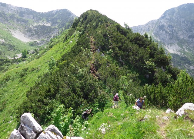 Orožnova koča in Lisec  28.06.2020 - foto