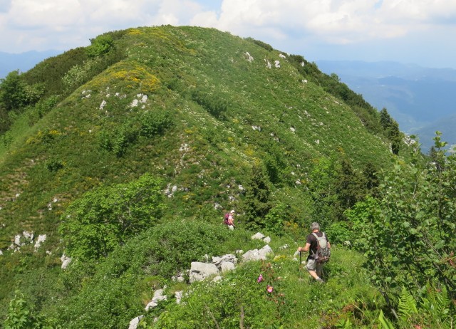 Orožnova koča in Lisec  28.06.2020 - foto