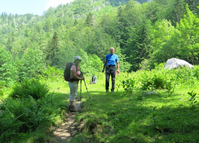 Orožnova koča in Lisec  28.06.2020 - foto