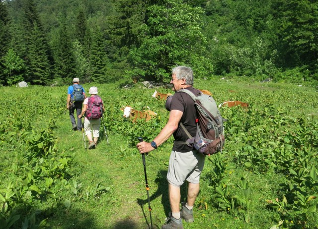 Orožnova koča in Lisec  28.06.2020 - foto