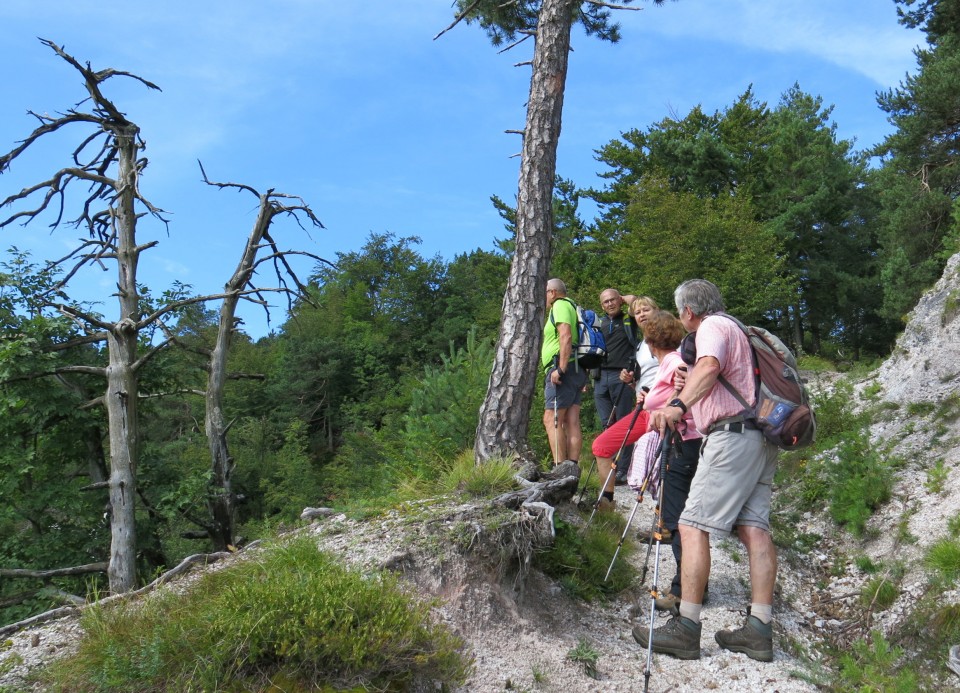 Na Gontah s planinci  15.08.2020 - foto povečava