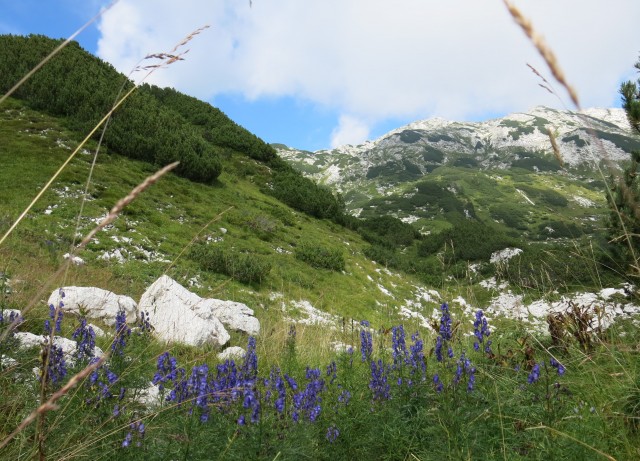 čez Monturo na krnsko jez. 22.08.2020 - foto