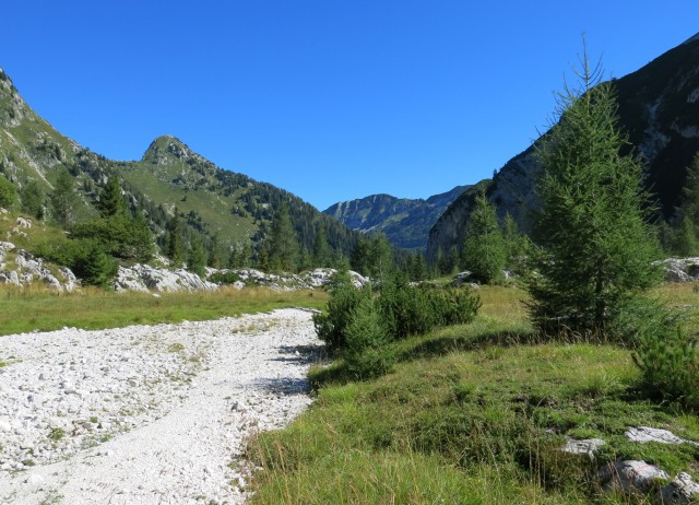 Okrog krna - na Polju  23.08.2020 - foto