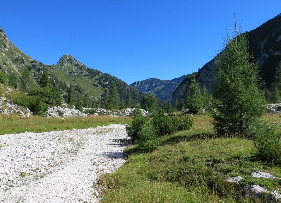 Okrog krna - na Polju  23.08.2020 - foto povečava