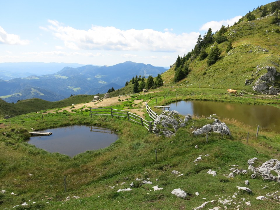 Ratitovec  25.08.2020 - foto povečava