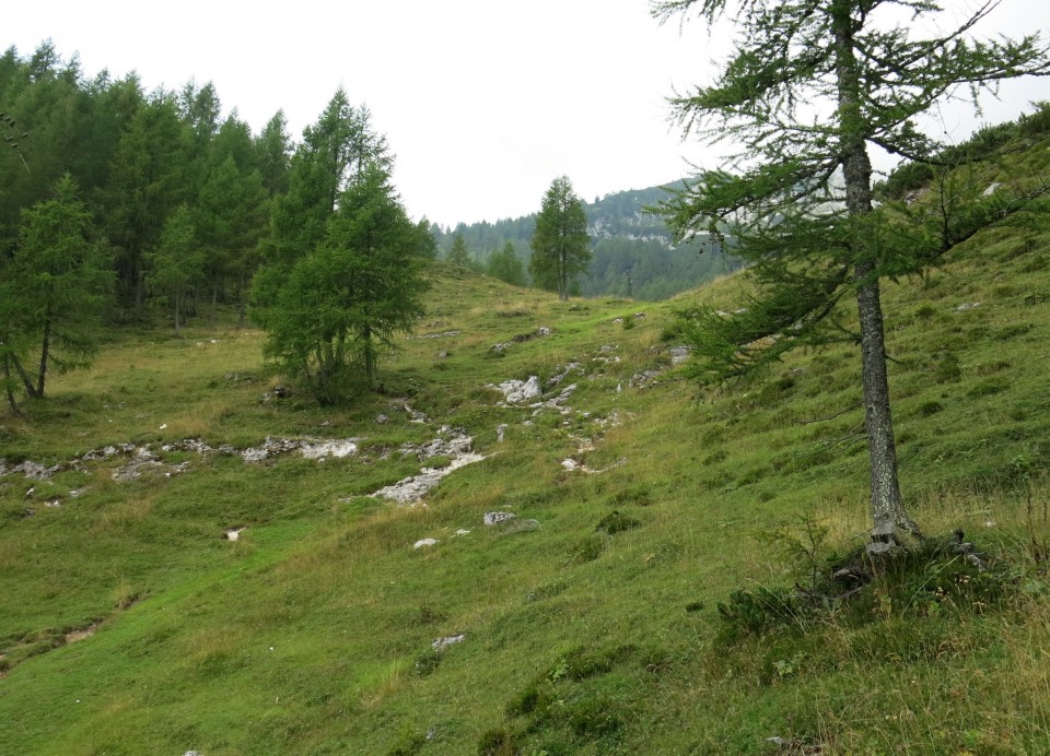 Okrog blejske koče  28.08.2020 - foto povečava