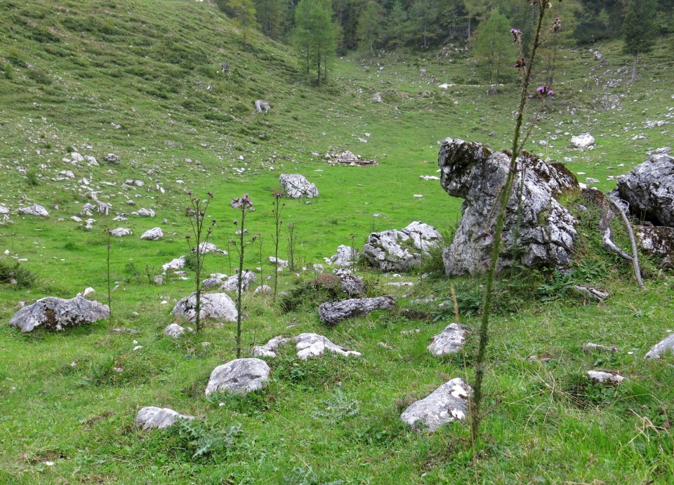 Okrog blejske koče  28.08.2020 - foto povečava