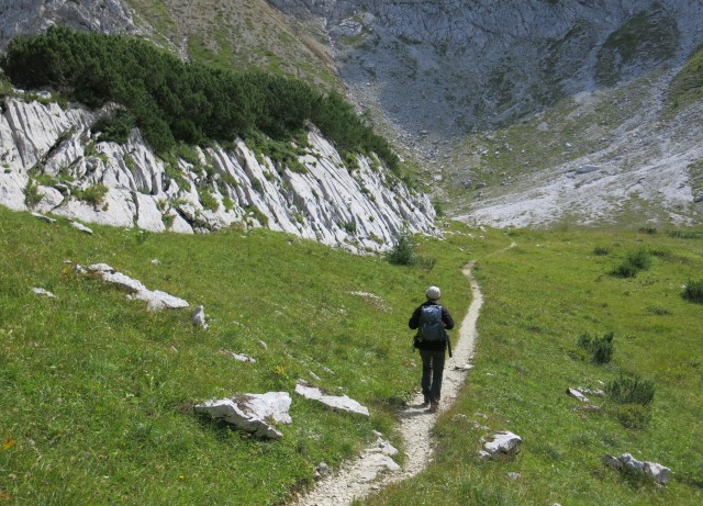 čez kačji rob  04.09.2020 - foto