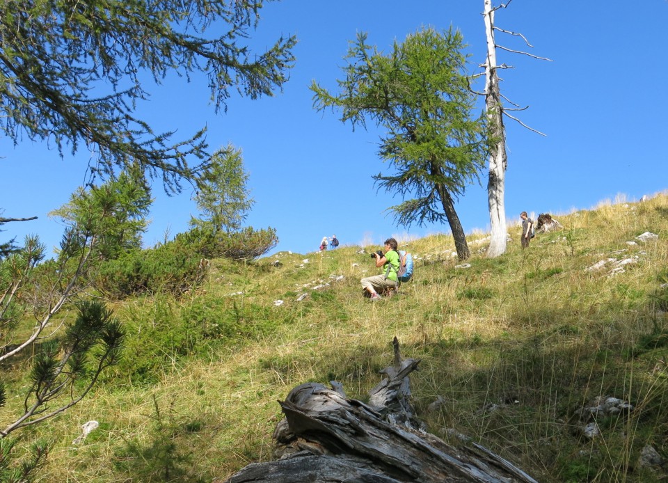 Slemenova špica + ovce  15.09.2020 - foto povečava