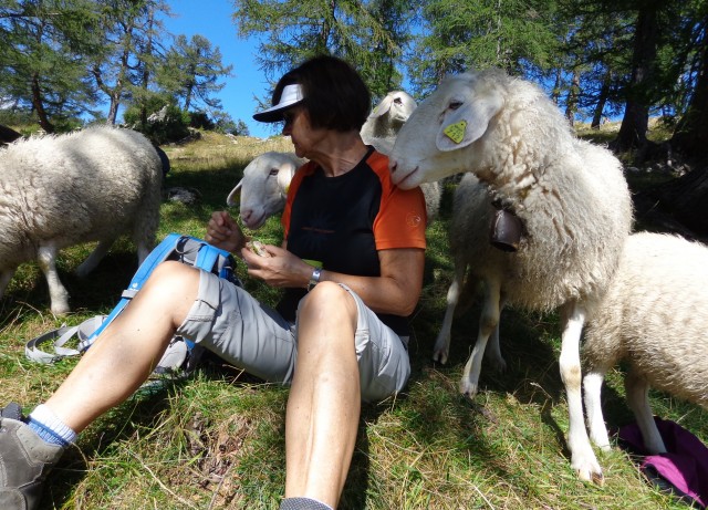 Slemenova špica + ovce  15.09.2020 - foto
