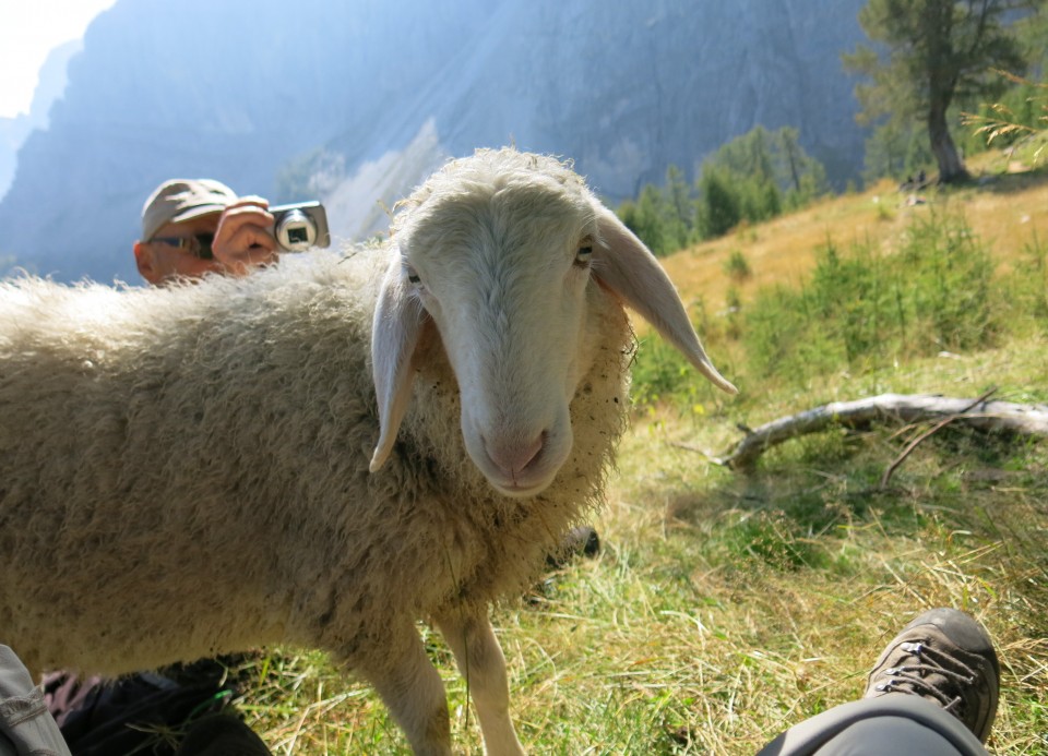 Slemenova špica + ovce  15.09.2020 - foto povečava