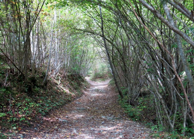 Kamniški vrh po prečni   18.10.2020 - foto