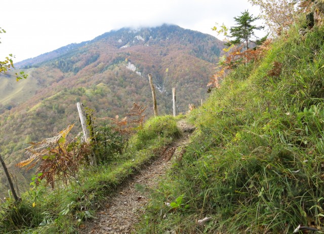 Kamniški vrh po prečni   18.10.2020 - foto