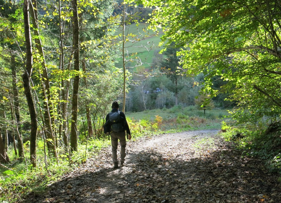 Kamniški vrh po prečni   18.10.2020 - foto povečava