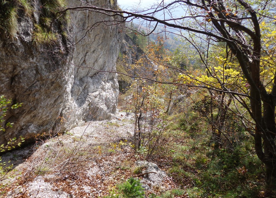 Osredek po prečni   22.10.2020 - foto povečava