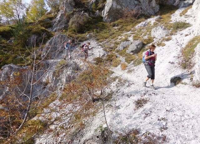 Osredek po prečni   22.10.2020 - foto