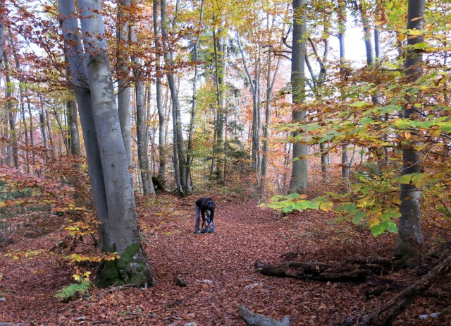 Hribček Ravnik   20.10.2020 - foto