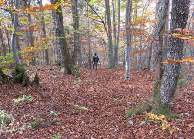 Hribček Ravnik   20.10.2020 - foto