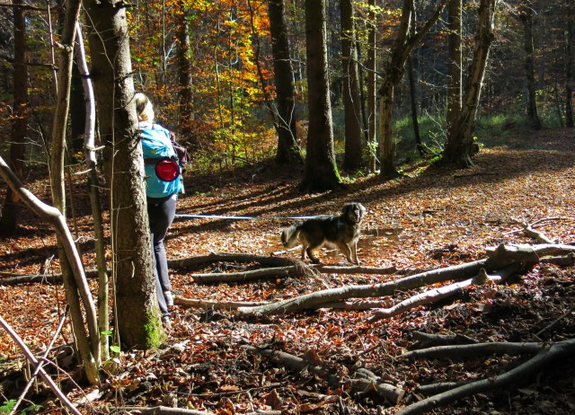 Toško s Silvo + P + J   31.10.2020 - foto