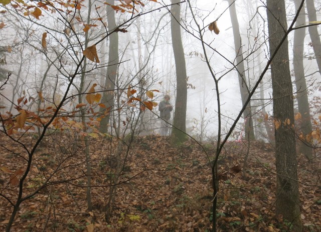 Akcija s silvo na golovcu 15.11.2020 - foto