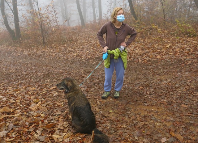 Akcija s silvo na golovcu 15.11.2020 - foto