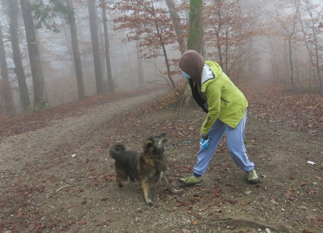 Akcija s silvo na golovcu 15.11.2020 - foto