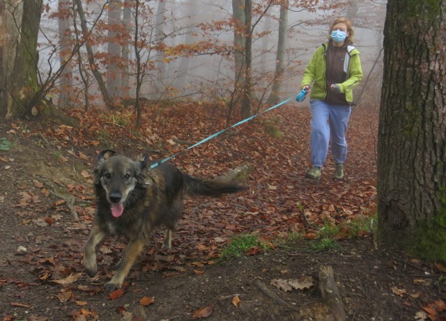 Akcija s silvo na golovcu 15.11.2020 - foto