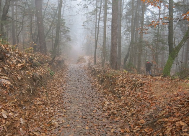 Akcija s silvo na golovcu 15.11.2020 - foto