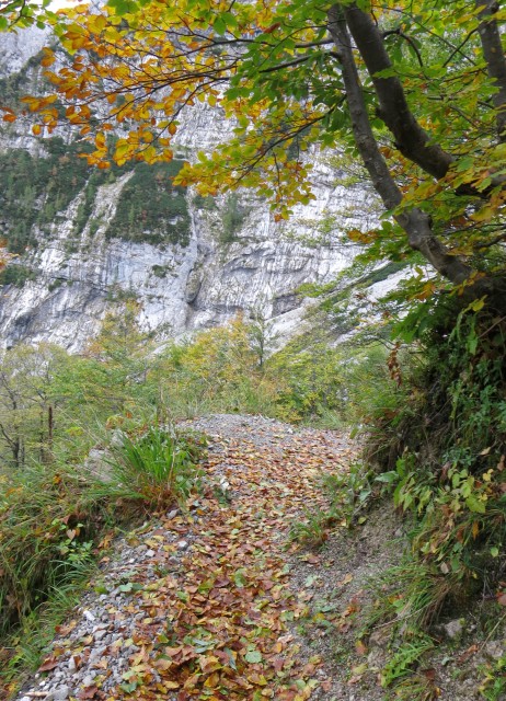 Zelenica  30.09.2021 - foto