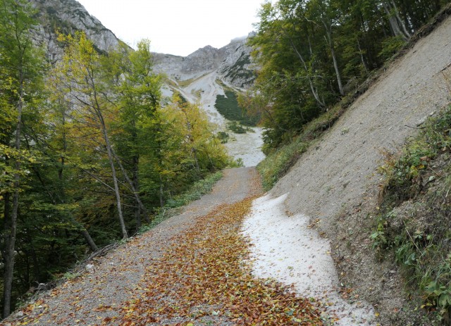 Zelenica  30.09.2021 - foto