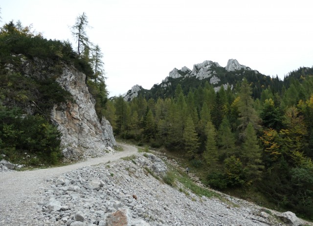 Zelenica  30.09.2021 - foto