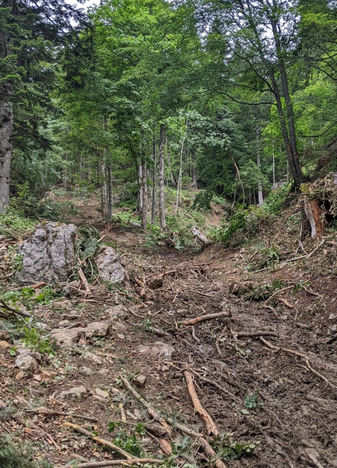 Iz drage na prevalo - krožna   22.06.2022 - foto povečava