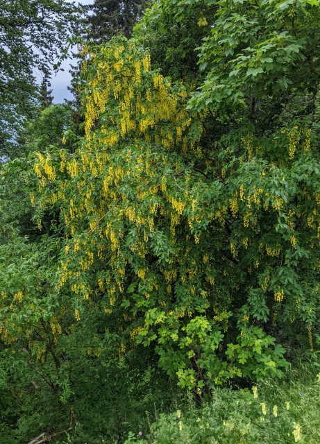 Iz drage na prevalo - krožna   22.06.2022 - foto