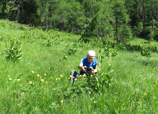 Kačji rob - viševnik  11.06.2022 - foto