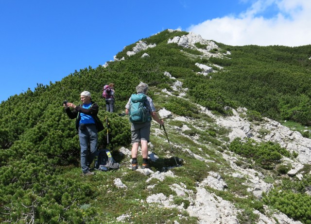 Kačji rob - viševnik  11.06.2022 - foto