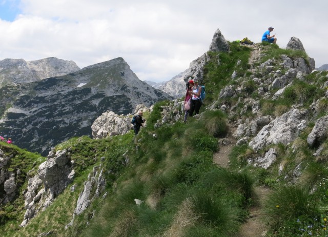 Kačji rob - viševnik  11.06.2022 - foto